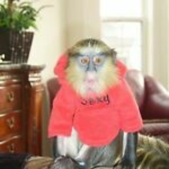 MEET YOUR POSHER - Picture 1 of 1